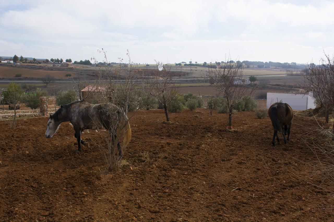 El Retiro de Cervantes Ossa de Montiel Buitenkant foto