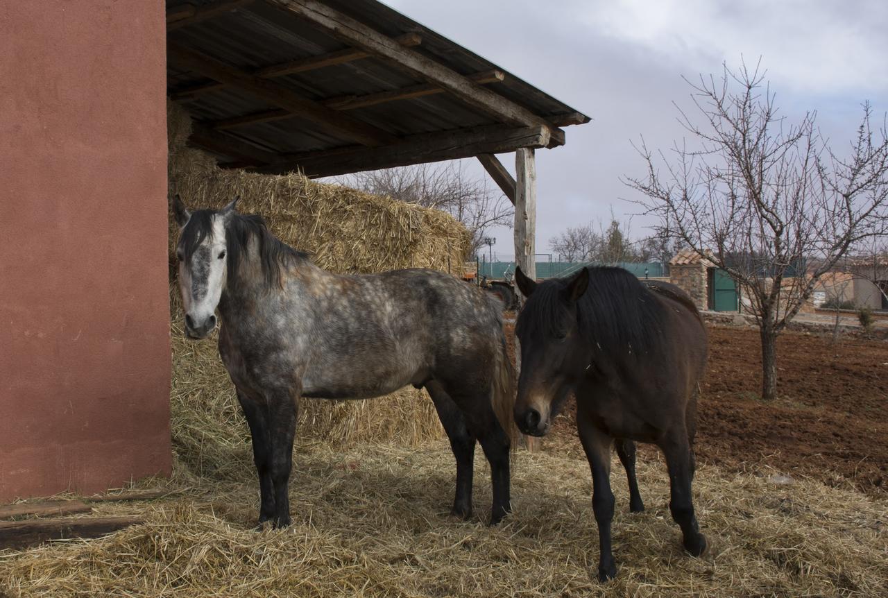 El Retiro de Cervantes Ossa de Montiel Buitenkant foto