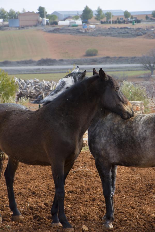 El Retiro de Cervantes Ossa de Montiel Buitenkant foto